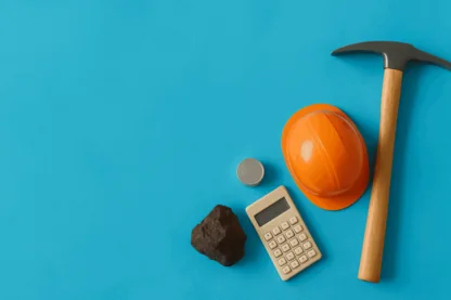 Previous Article Image