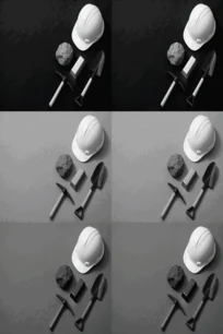 Previous Article Image