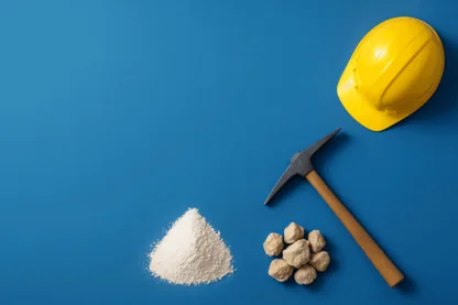 Previous Article Image