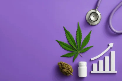 Previous Article Image