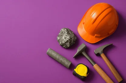 Previous Article Image