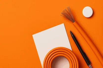 Previous Article Image