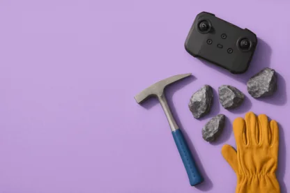 Previous Article Image