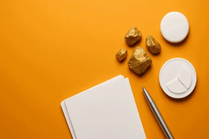 Previous Article Image