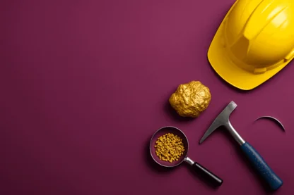 Previous Article Image