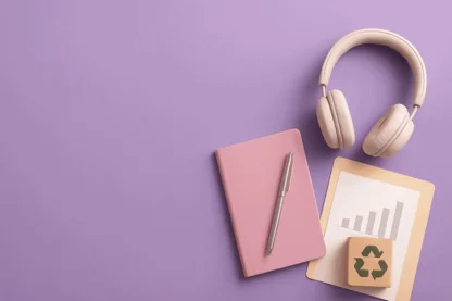 Previous Article Image