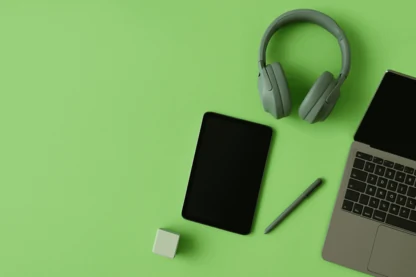 Previous Article Image