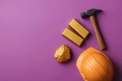 Previous Article Image