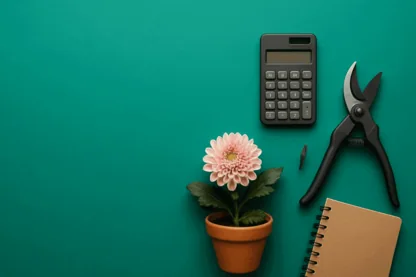 Previous Article Image