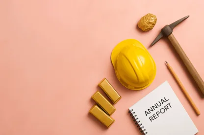 Previous Article Image