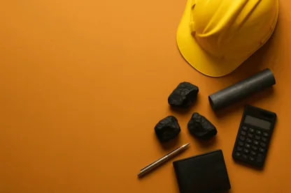 Previous Article Image