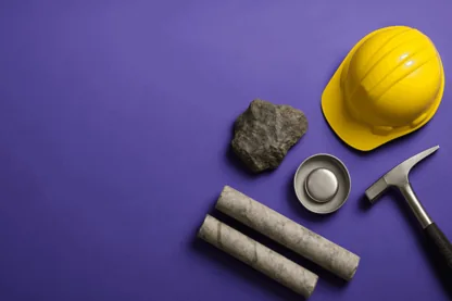 Previous Article Image