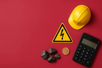 Previous Article Image