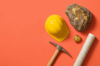 Previous Article Image