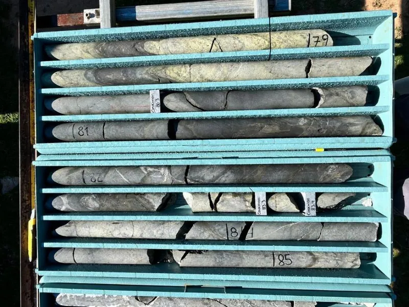 Diamond drill core from CMKNI011 showing 20–50 cm thick sulphide veins in silica-sericite altered rhyolite at Silica Hill
