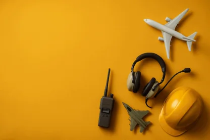 Previous Article Image