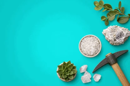 Previous Article Image