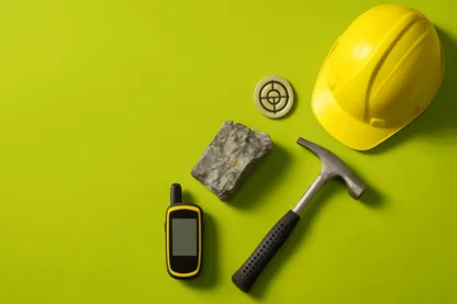 Previous Article Image