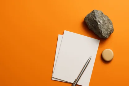 Previous Article Image