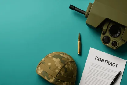 Previous Article Image