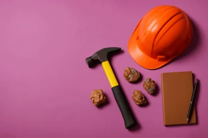 Previous Article Image