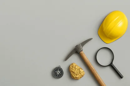 Previous Article Image