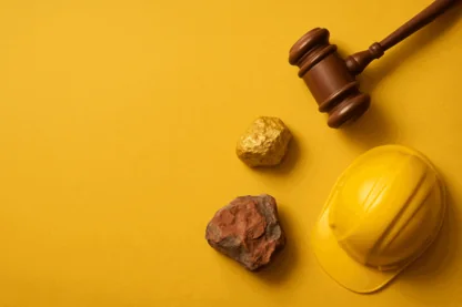 Previous Article Image