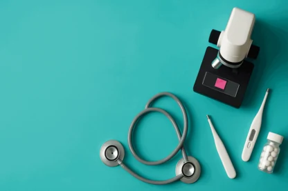 Previous Article Image