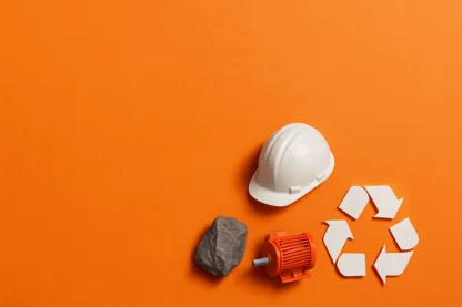 Previous Article Image