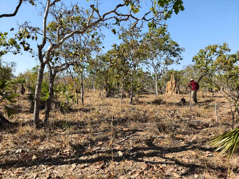 Field team member collecting samples at the Powers Prospect