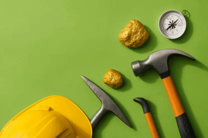 Previous Article Image