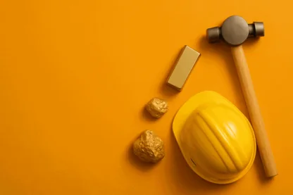 Previous Article Image