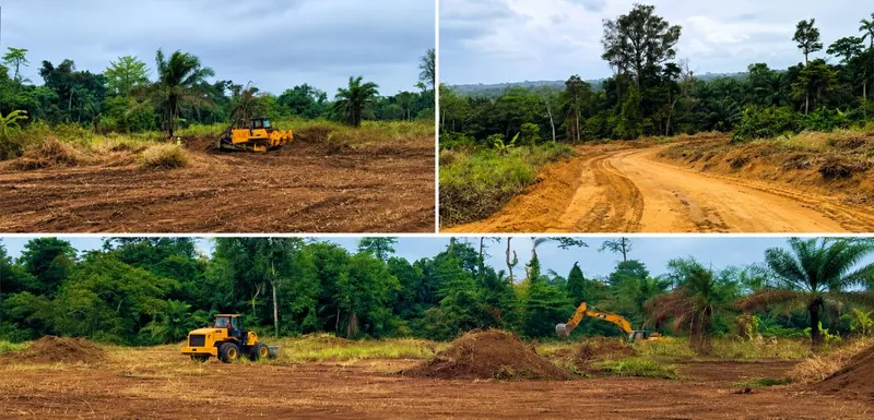 Site activities commencing at Cacata with heavy earthmoving equipment on site to complete road access to the phosphate deposit
