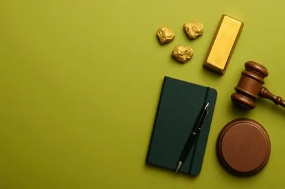 Previous Article Image