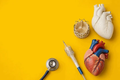 Previous Article Image