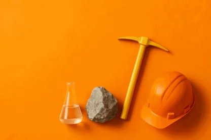 Previous Article Image