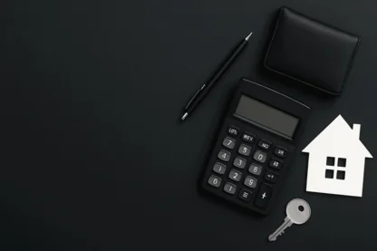 Previous Article Image