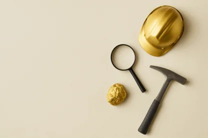 Previous Article Image