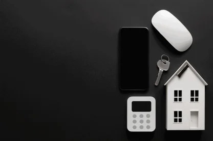 Previous Article Image