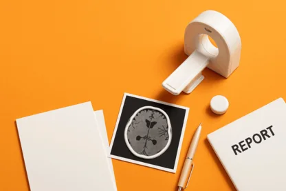 Previous Article Image