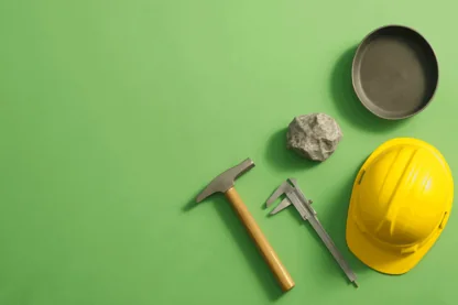 Previous Article Image