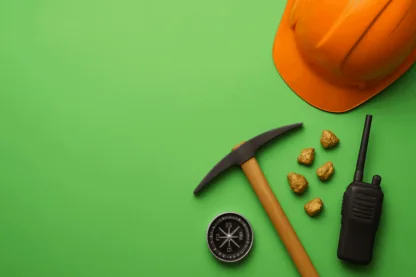 Previous Article Image