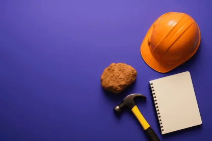 Previous Article Image