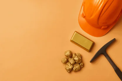 Previous Article Image