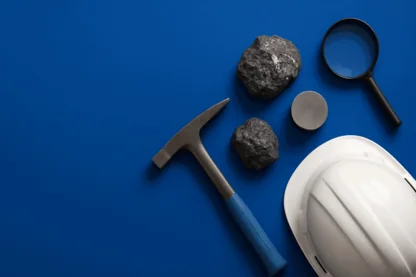 Previous Article Image