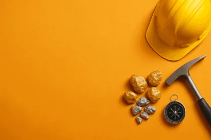 Previous Article Image