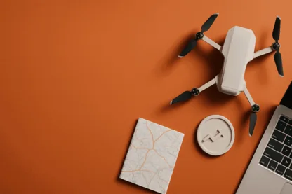 Previous Article Image