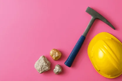 Previous Article Image