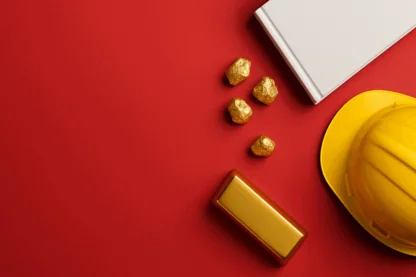 Previous Article Image