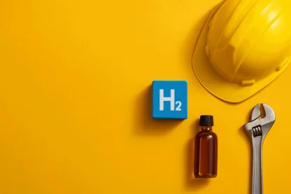 Previous Article Image